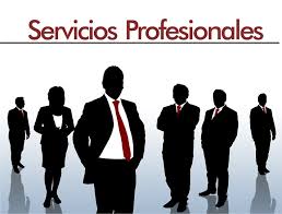 ¿Qué son los “servicios profesionales”?